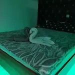 Vikendica Katarina Сasa de vacaciones *